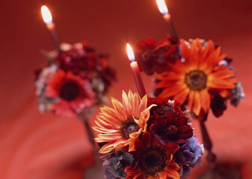 点燃的蜡烛与花朵图片