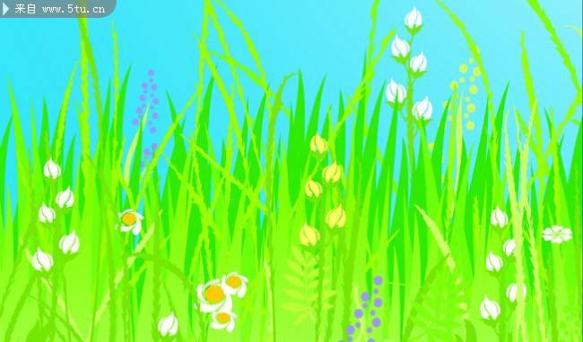 卡通野花彩色线描画植物图片