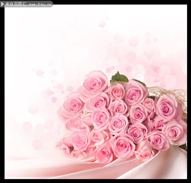 粉色玫瑰背景素材清新唯美