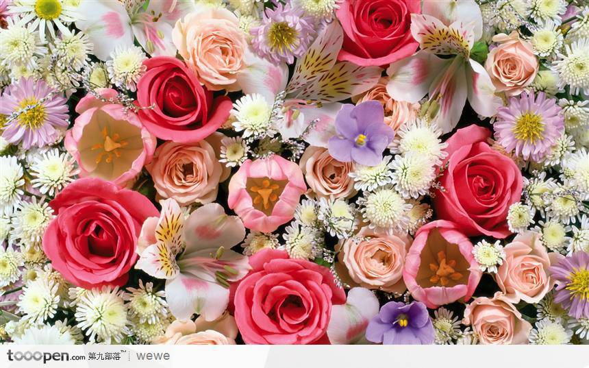 五彩缤纷的情人节玫瑰花图片