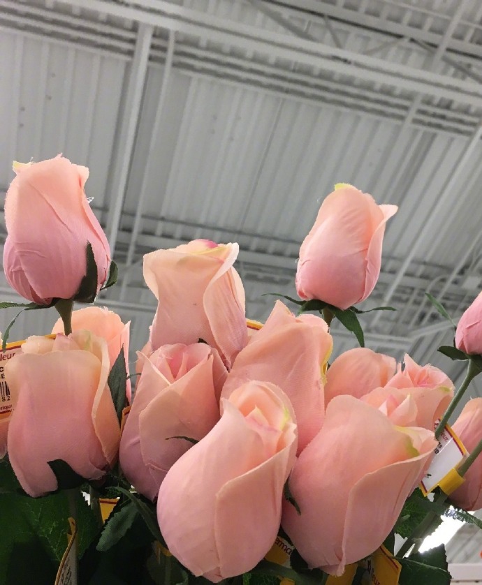 粉哒哒的玫瑰背景素材图片