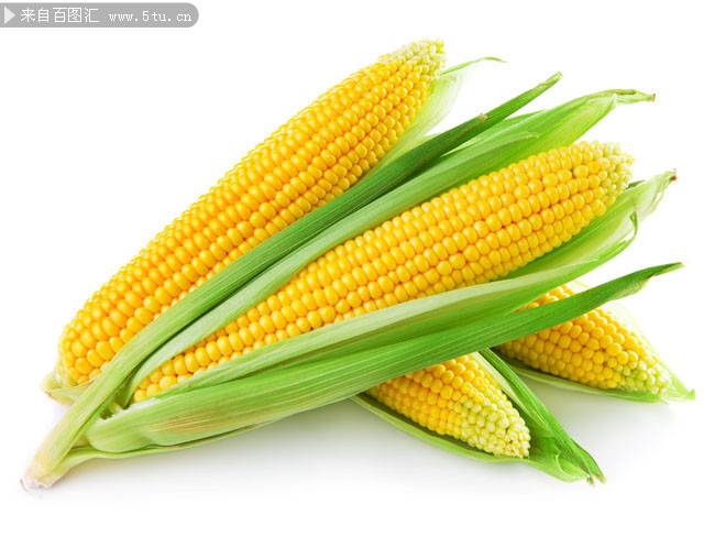 金灿灿的玉米高清图片素材