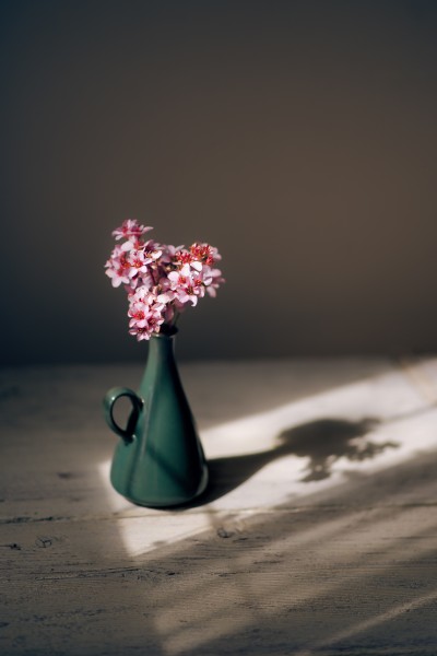 花瓶里的花朵图片