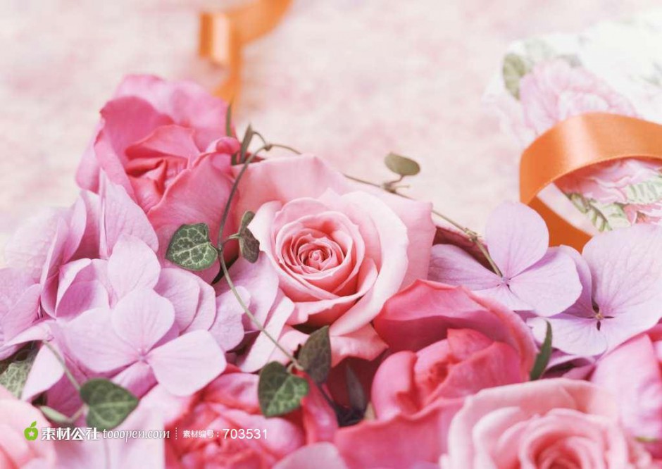 唯美纯真的粉色玫瑰背景图片