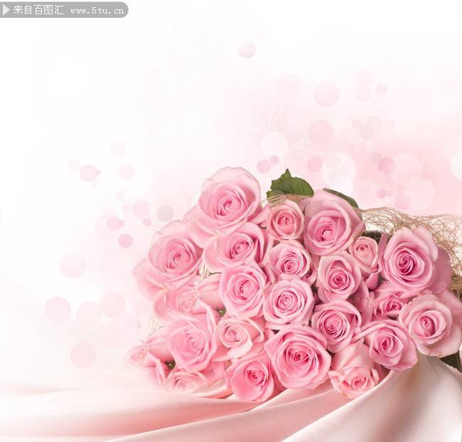 唯美淡雅的粉玫瑰背景图片