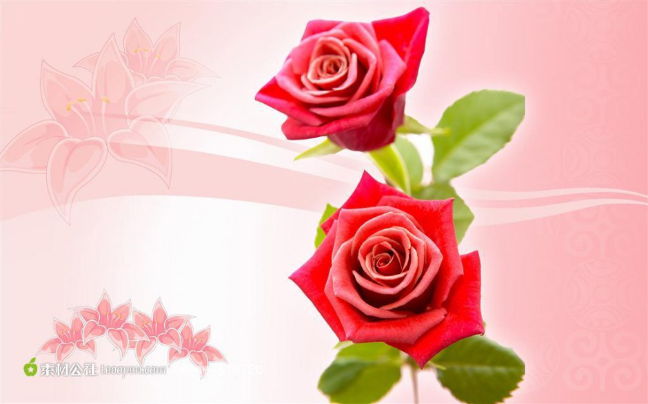 粉色玫瑰花百合花纹幻灯片背景图片