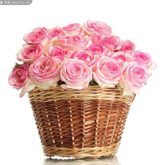 一篮子的粉玫瑰清新图片