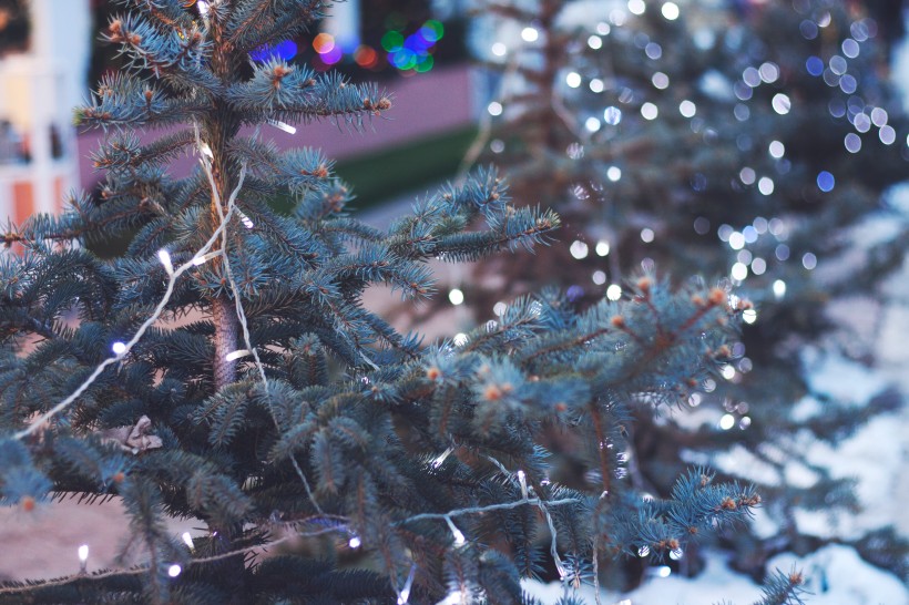 装饰美丽的圣诞树图片