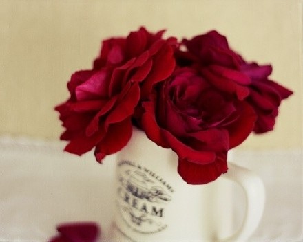 即使玫瑰不叫玫瑰, 也依然芬芳如故。