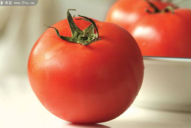 剔透可人的红番茄图片