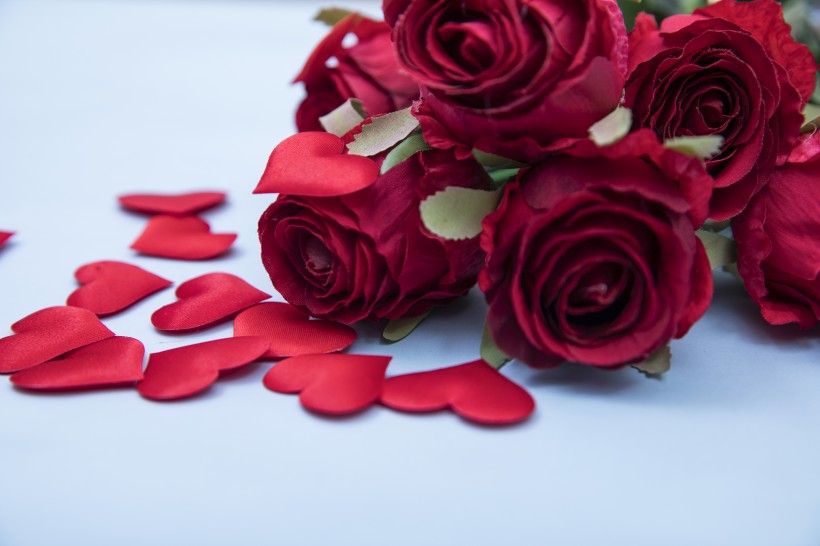 红色的玫瑰花瓣图片