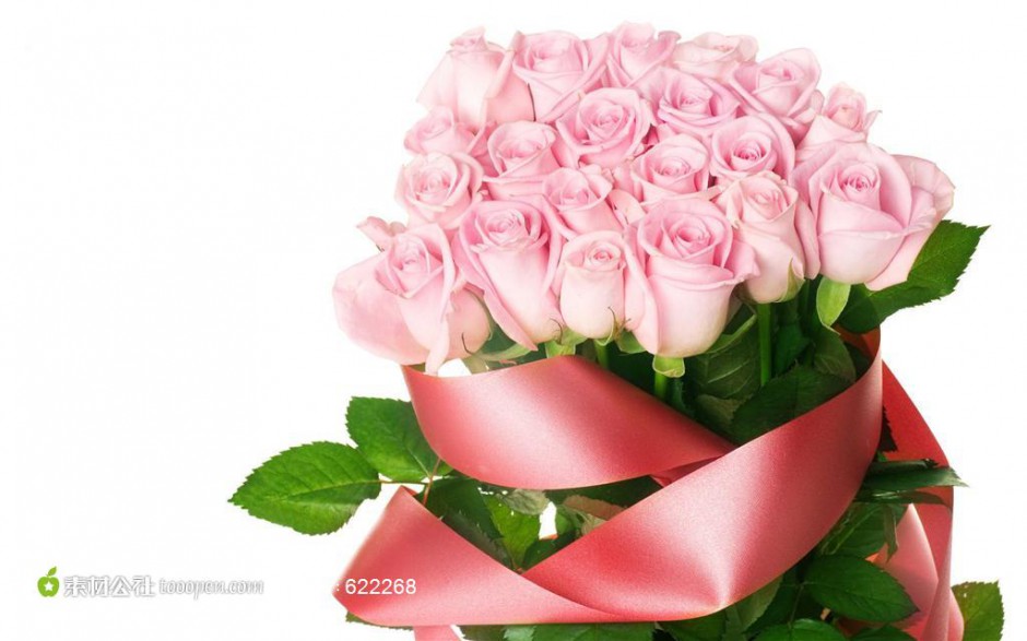 浪漫的20朵粉玫瑰高清大图