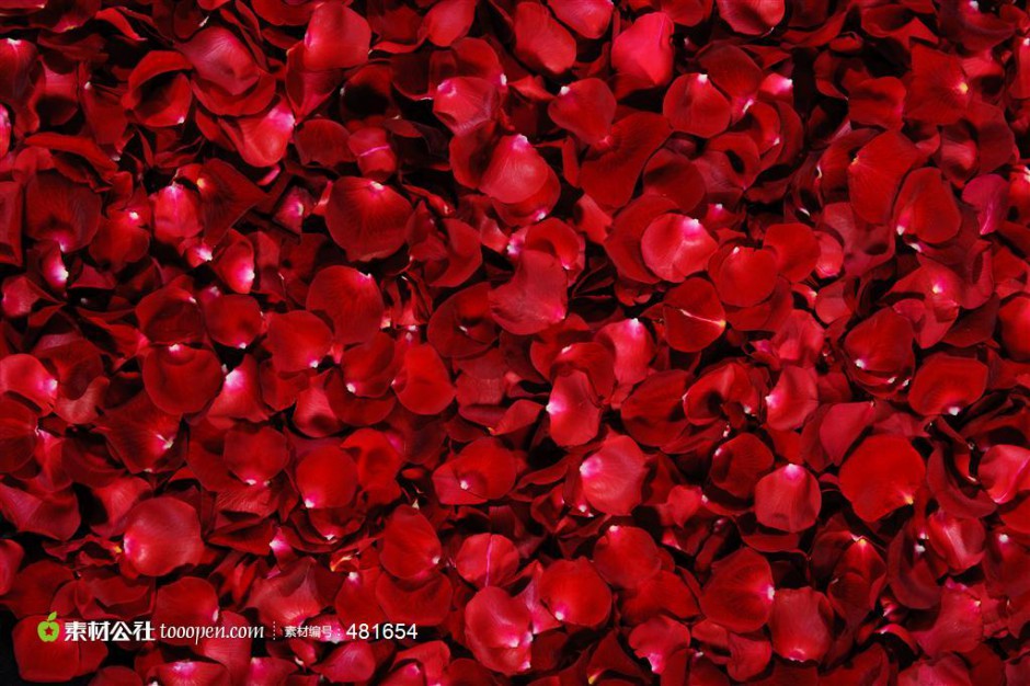 火红玫瑰浪漫风景唯美壁纸