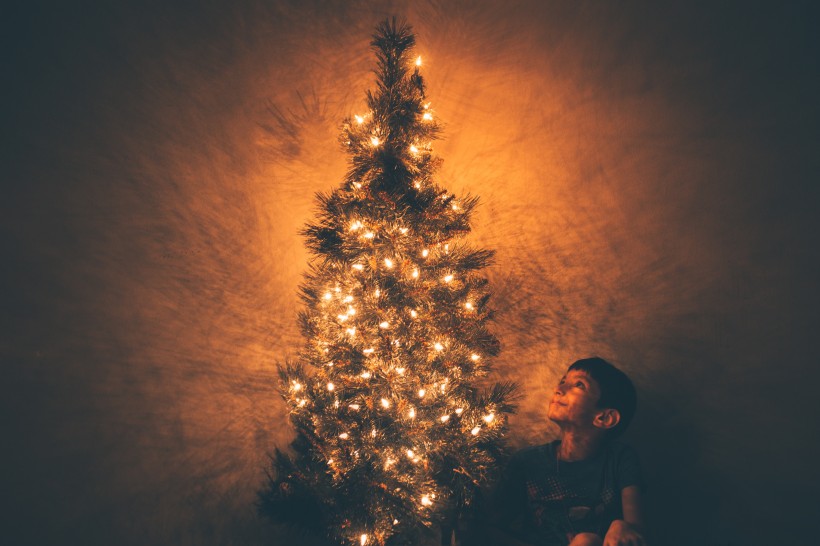 装饰美丽的圣诞树图片