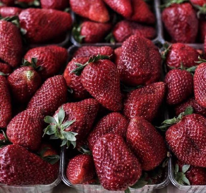 早春酸酸甜甜的草莓很是沁人心脾