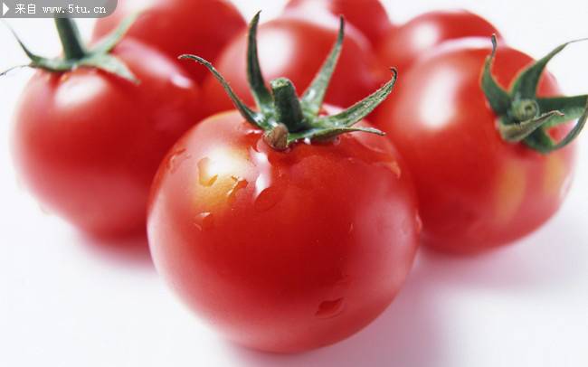 红色的番茄高清特写图片