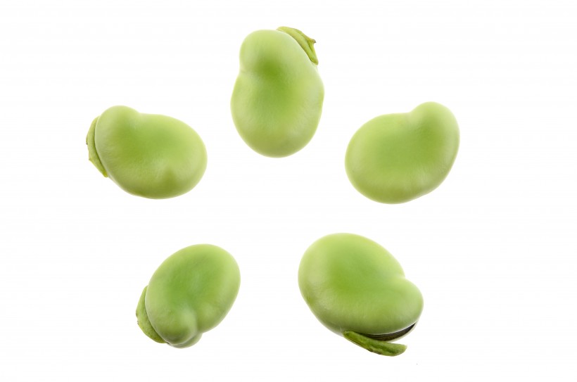 营养价值丰富的绿色蚕豆图片