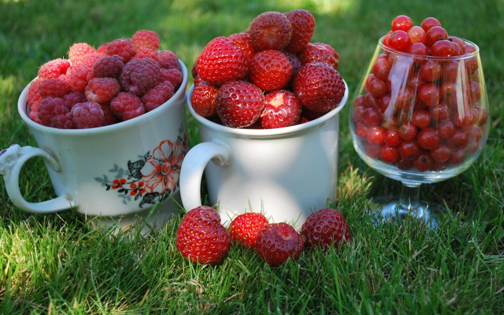 好吃甜润口的红树莓水果图片