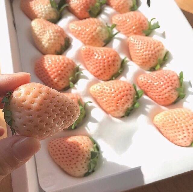 这组草莓拥有草莓届最高颜值