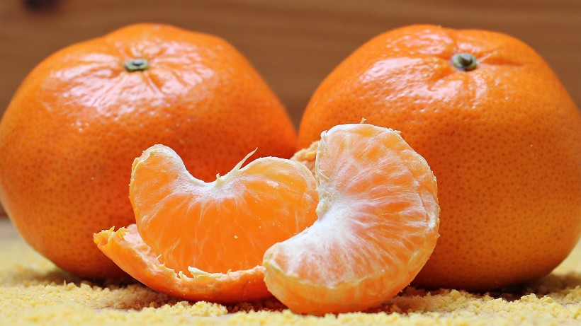 世界柑橘始祖地黄岩柑橘图片