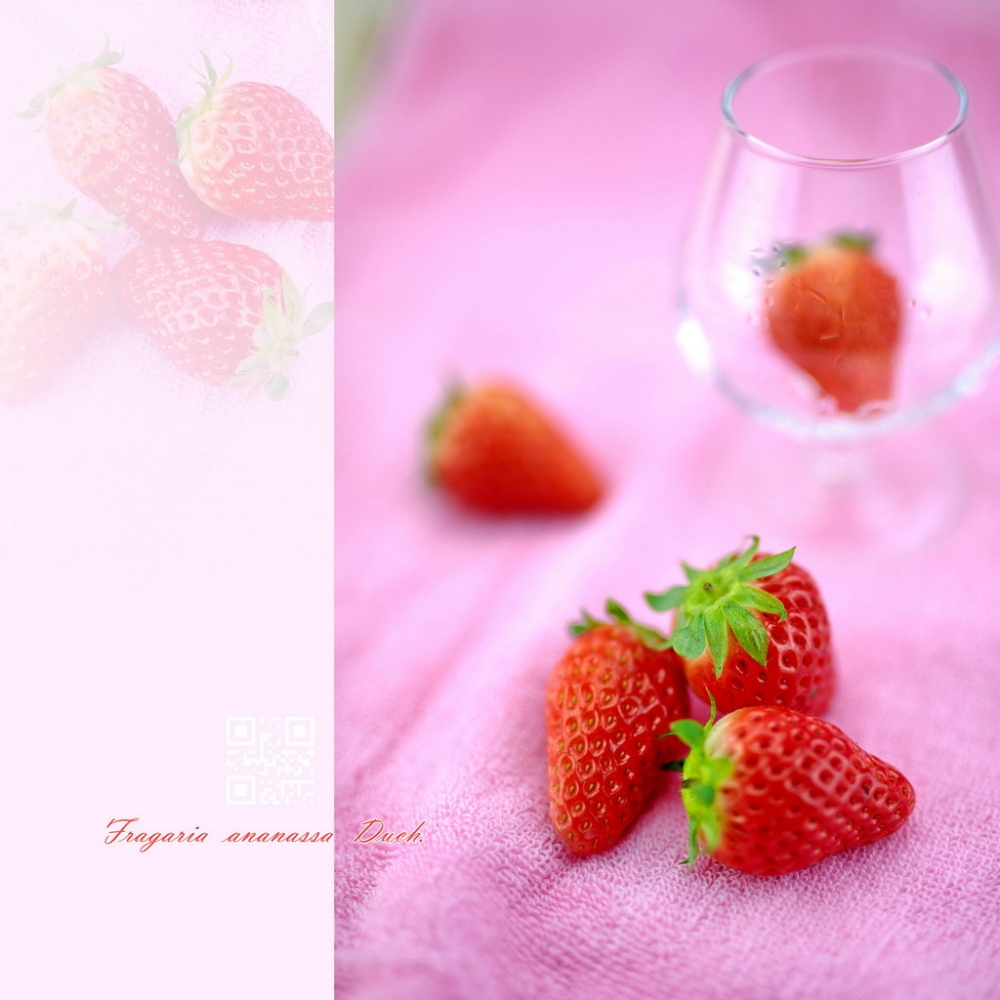 粉嫩清新草莓艺术图片欣赏