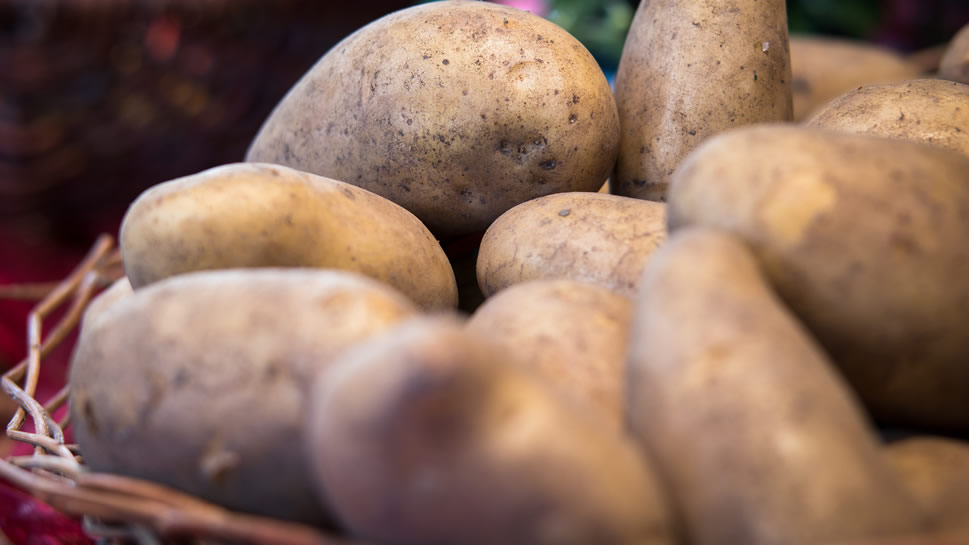 土豆的外形有多种，不同的品种，它的外形是不同的