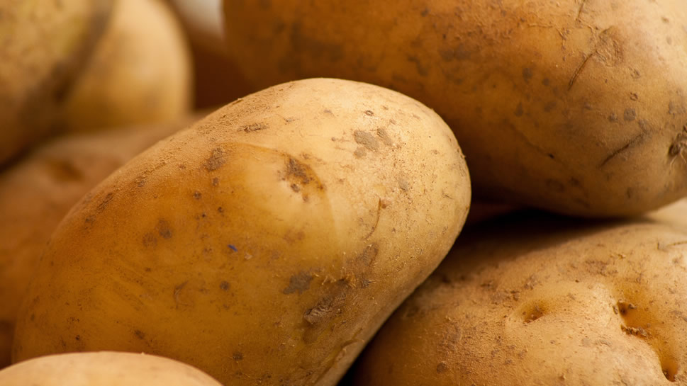 土豆的外形有多种，不同的品种，它的外形是不同的