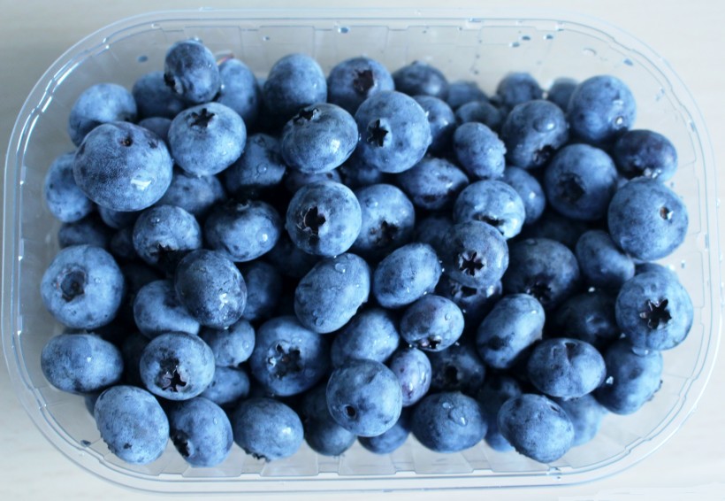 新鲜美味的蓝莓图片欣赏