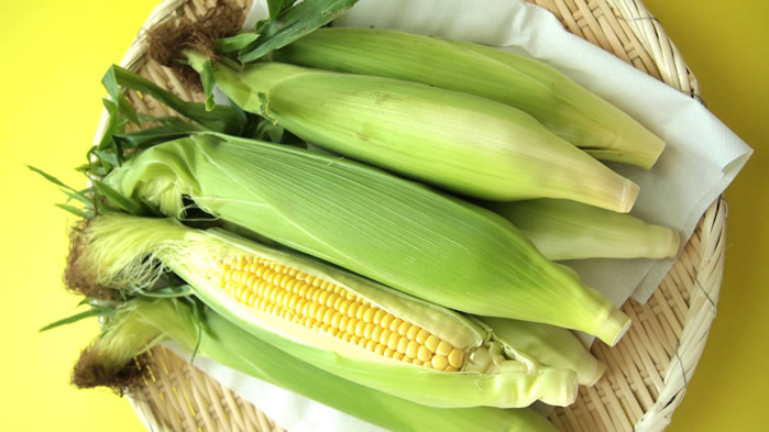 一组新鲜的玉米的图片欣赏
