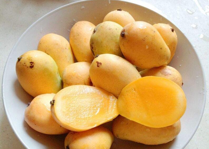 新鲜可口的芒果图片欣赏
