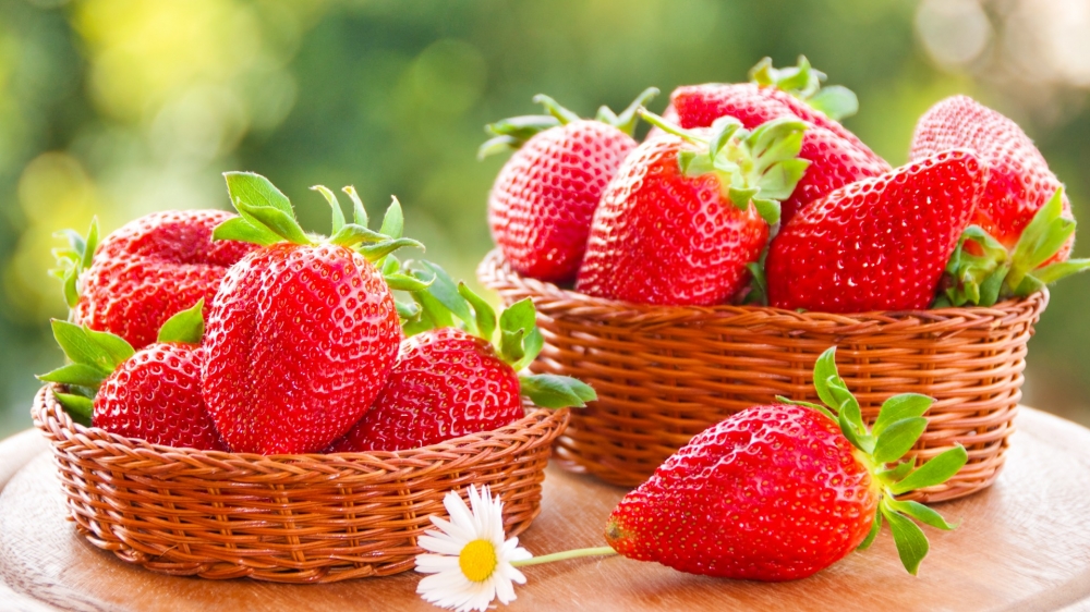 演绎莓丽、鲜嫩欲滴、香甜诱人的草莓