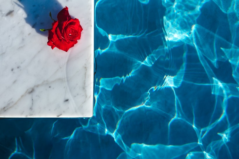 泳池中的玫瑰图片