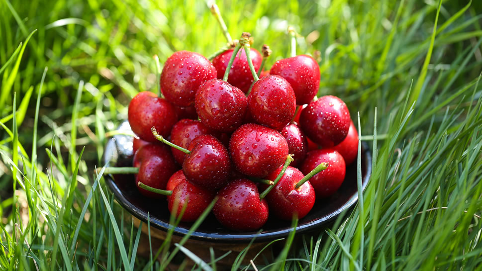 一组红红的营养丰富的樱桃图片欣赏