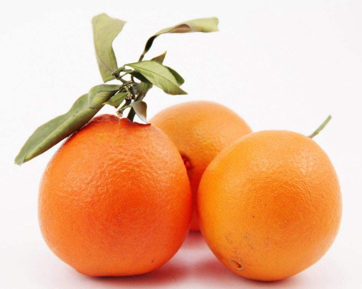 一组橙子的特写高清图片欣赏