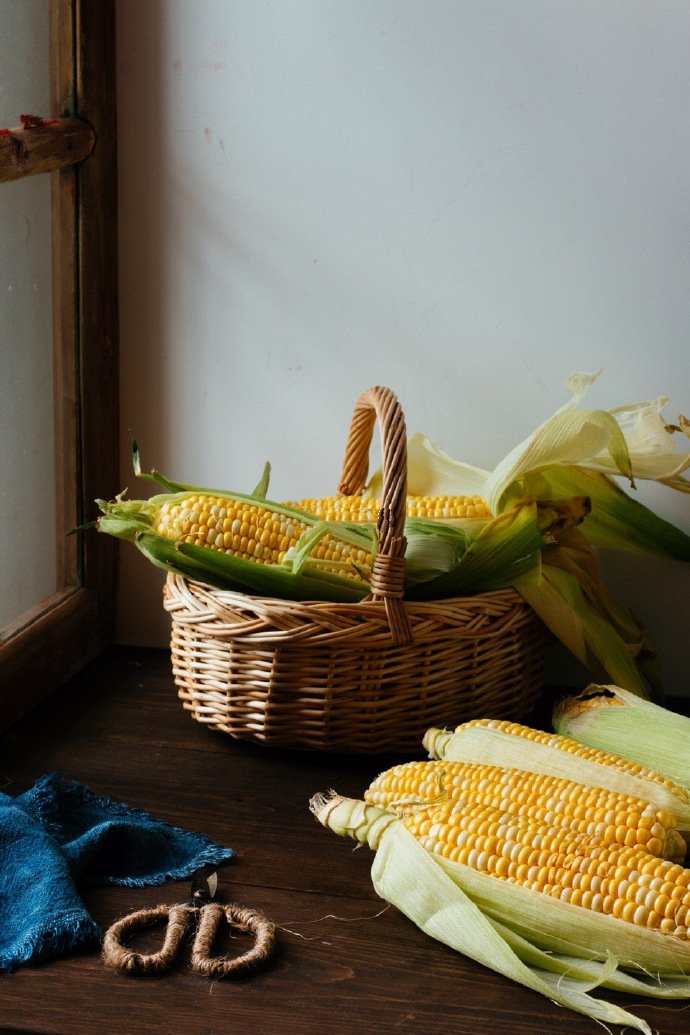 一组健康营养的玉米图片欣赏