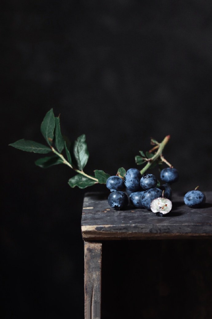 在夏秋季节成熟起来的蓝莓果，一个个蓝盈盈的薄皮、珠光宝气