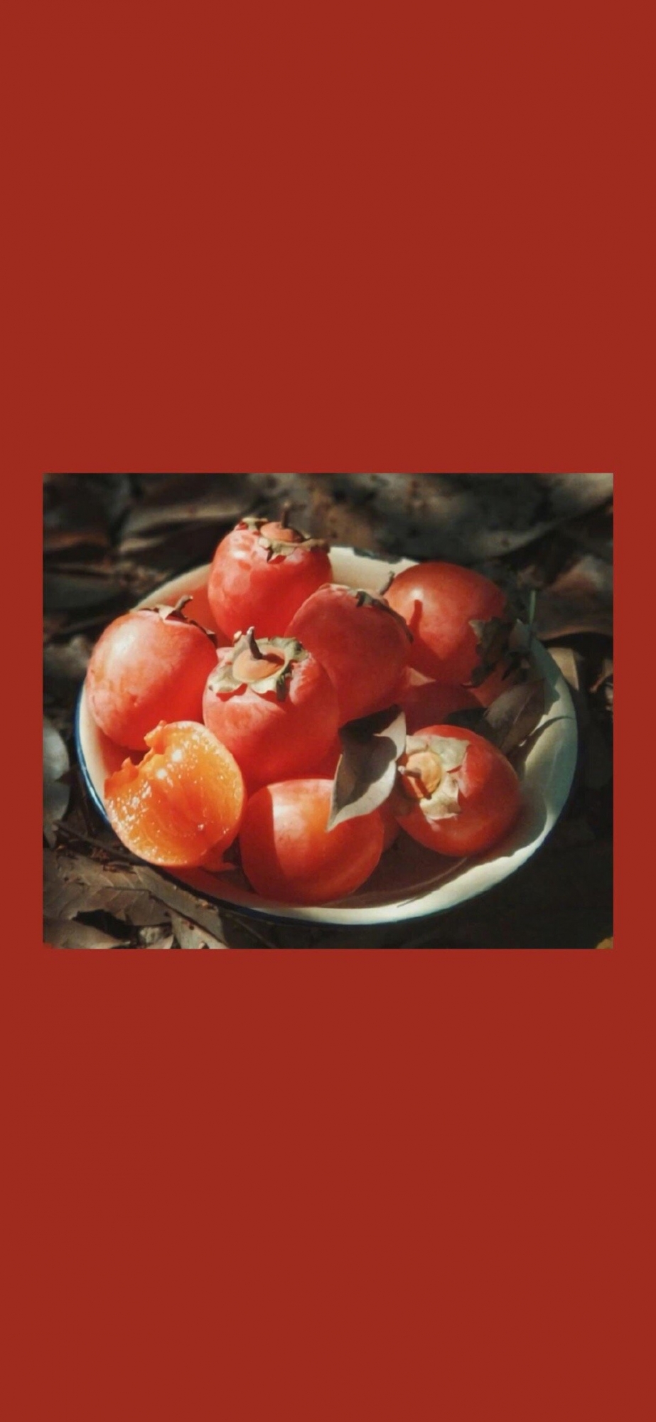水果柿子摄影高清手机壁纸