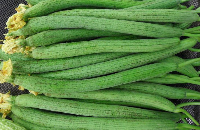 一组长长的丝瓜含有多种营养的蔬菜