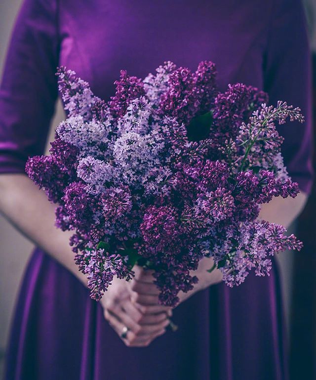 一组森系感紫色系花束图片欣赏