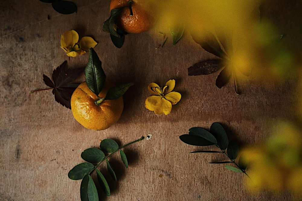 黄色橘子做艺术品的摄影图片