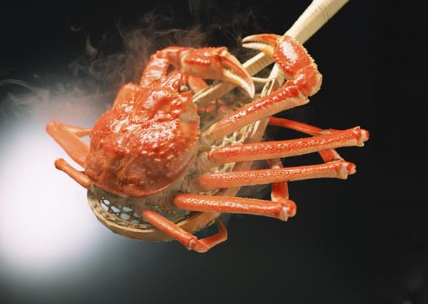 日本蜘蛛蟹