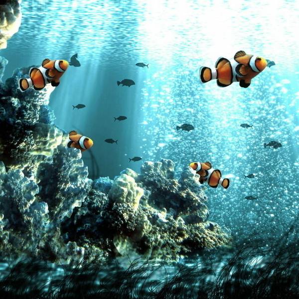 千奇百怪的深海鱼类图片