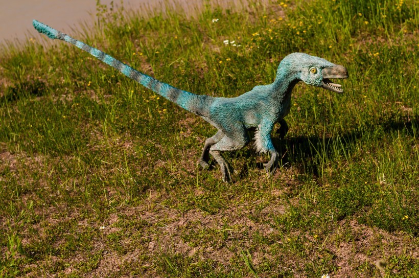 白垩纪时期的恐龙模型图片