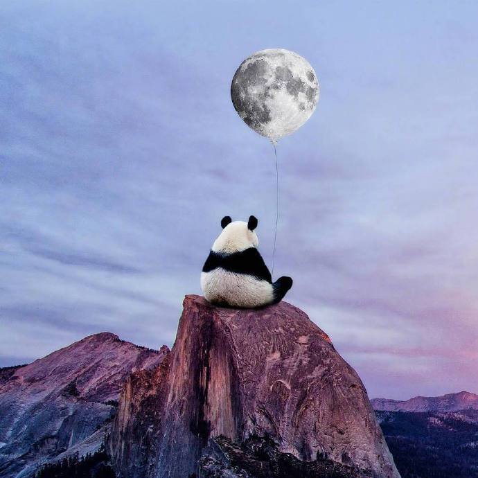 Mr.Panda的奇幻冒险之旅图片欣赏