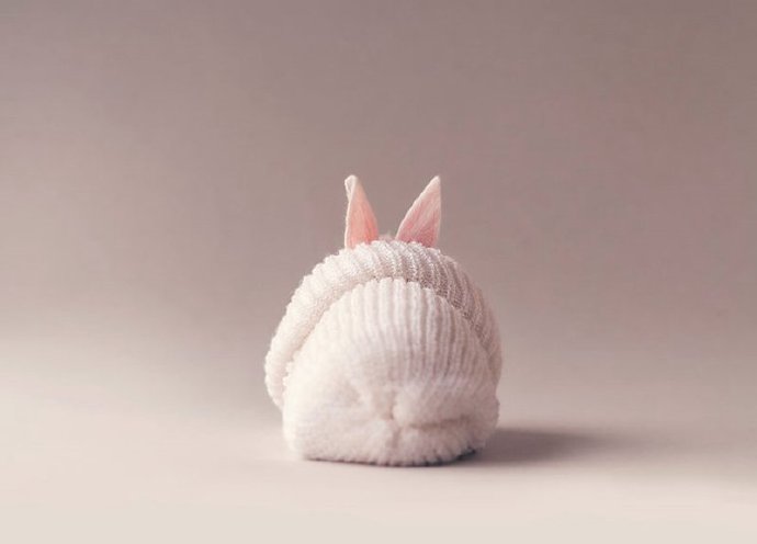 一组超可爱奶萌奶萌的兔子