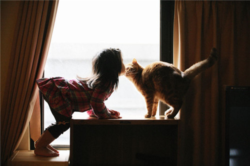 猫咪和孩子的温馨画面