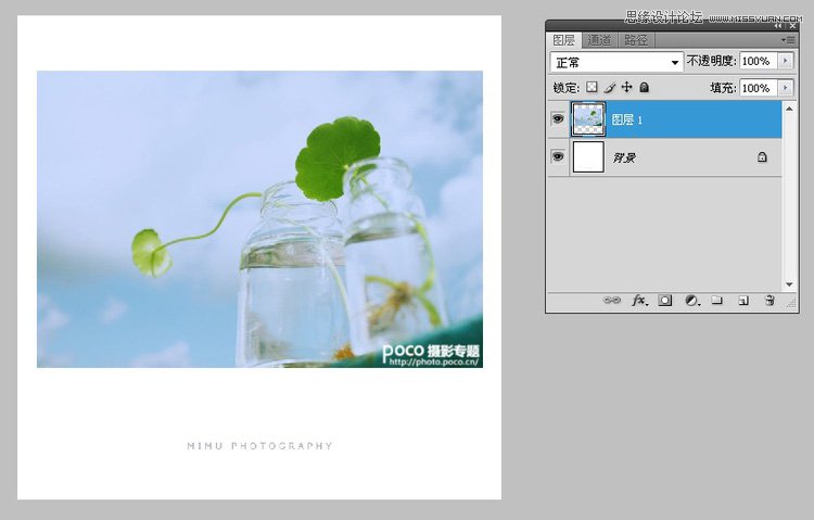 Photoshop调出静物瓶子淡雅的日系效果,PS教程,16xx8.com教程网