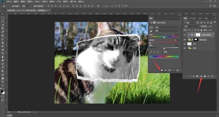 创意合成，合成草地里的猫咪边框趣味照片