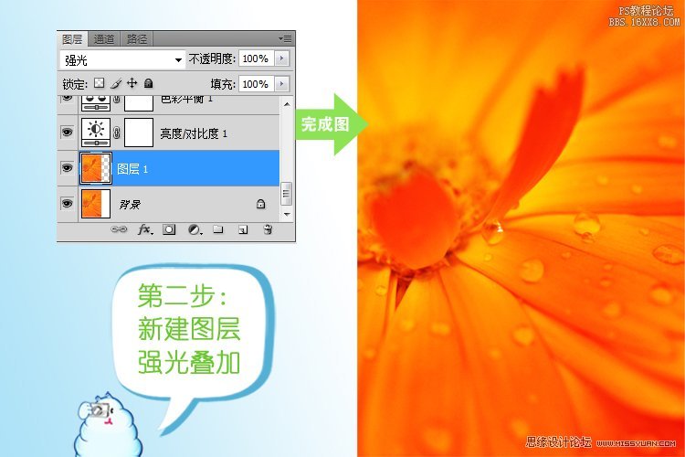 Photoshop简单调出创意的花卉效果,PS教程,思缘教程网