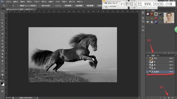 Photoshop巧用水墨笔刷临摹水墨马效果,PS教程,16xx8.com教程网